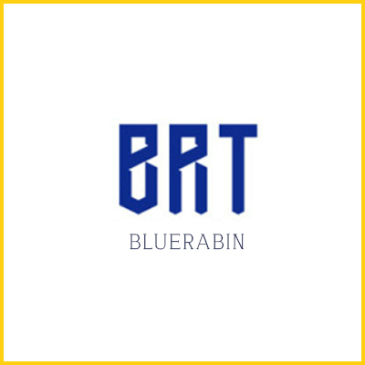 Bluerabin Co